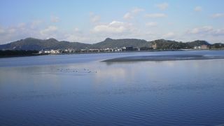 和歌川の流れ