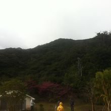 パークゴルフ（？）場も広いです