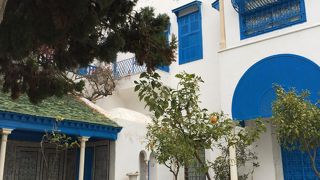 もう少し手入れしていれば綺麗なのに