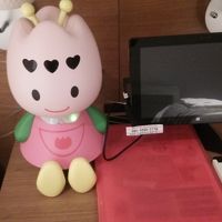 チューリーちゃんとテレビも見られるipad