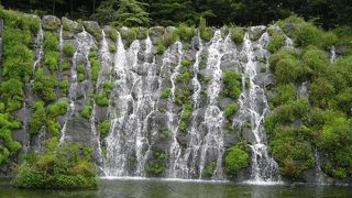 春から夏にかけては！