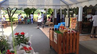 豆腐関連の食料品が色々あります