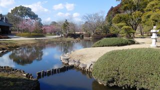 年ごとに美しさが増す公園です。