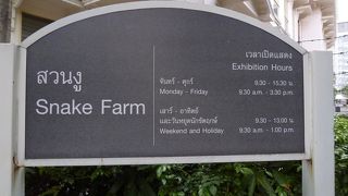 週末は午前中のみ見学可能なのでご注意下さい。