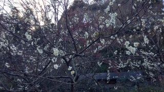 横浜にこんなところがあった。