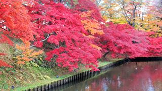 紅葉も素晴らしい