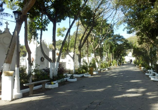 Cementerio General