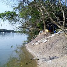 これ全部シジミの殻