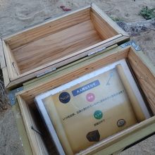 こんな楽しい演出もあるよ