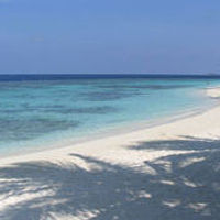 ビーチエントリーしてすぐにハウスリーフがあります。