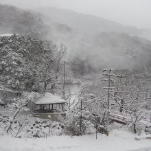 お部屋からの