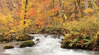 錦に彩られた溪谷
