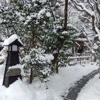 広い敷地内の庭園を歩きます