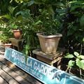カラン植物園＆トレイル 