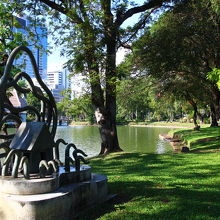 木陰が心地よい