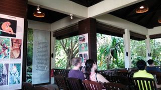 ラサリアホテル宿泊であれば一度は