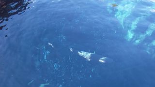 あまりにもきれいな水