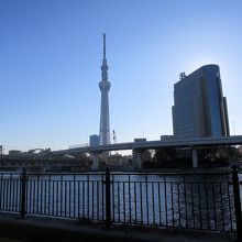 で、やっぱりメインはこの景色かな