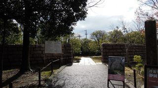 充実した展示内容