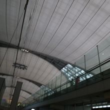 スワンナプームの特徴の膜の天井です。