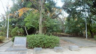 桜塚古墳群の一つ、隣の大石塚古墳と一体に構成されている