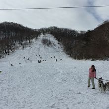 赤城山第三スキー場のゲレンデです。