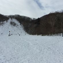 かつては立派なスキー場のゲレンデでした。