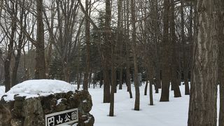 雪景色のお散歩も〇