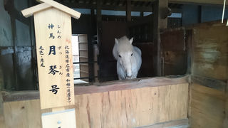 途中に見所があるので大丈夫