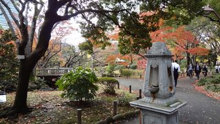 紅葉した木々を背景に