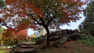 紅葉が美しい！