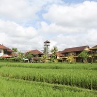 田んぼ側の景色