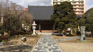 綺麗に整った寺院