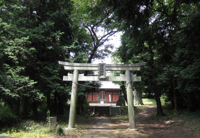 かまくら道から神社に入る参道が続いています