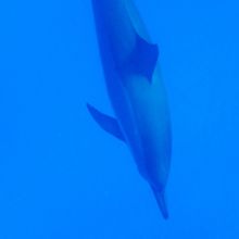 近いんだけどもう少し綺麗に撮りたかったな。