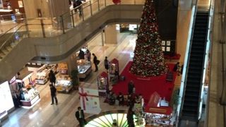 ＪＡＬはコチラ。