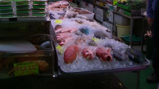 みていて楽しい