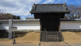 梅がきれいに咲いていました