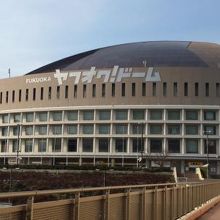 圧倒的な存在感！