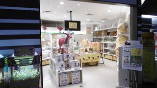 チキンラーメンひよこちゃんなど