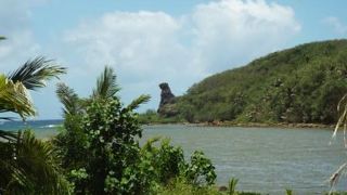 通りがかりに発見