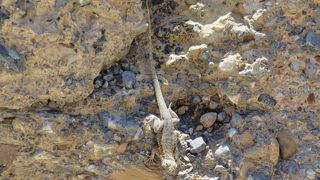 冬には過ごしやすいです。