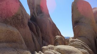 宿泊はキャンプで。