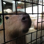 小動物に癒され～♪