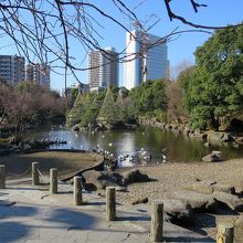 その水戸徳川家の屋敷にあった池も公園の一部としています