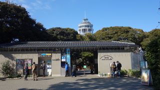 江の島の「頂上にある庭園。２００円の入場料がいります。