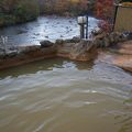 今度は泊まろう、アワビ尽しの宿見市温泉旅館