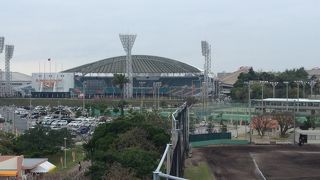 キャンプを見に