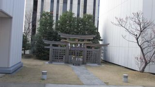 自動ドアを通って屋上に出ると、神社があります