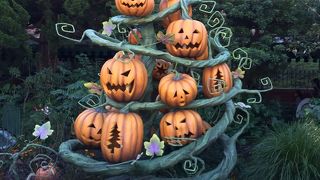 ハロウィンがオススメです